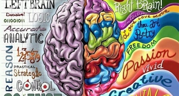 Brain